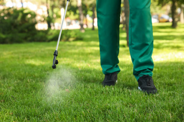 Wildlife Control Services in Amelia, LA