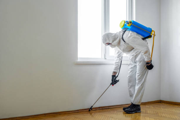 Trusted Amelia, LA Pest Control Experts