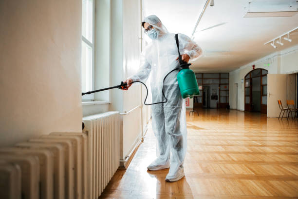 Best Bed Bug Extermination  in Amelia, LA