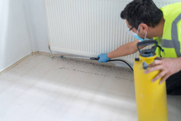 Best Commercial Pest Control Services  in Amelia, LA