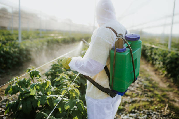 Best Best Pest Control Companies  in Amelia, LA